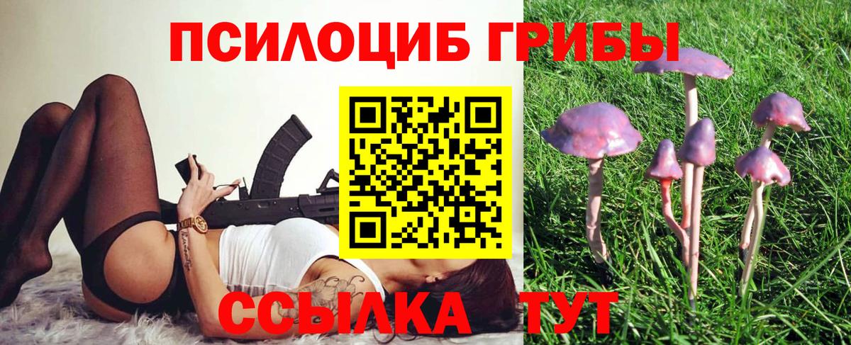 Псилоцибиновые грибы Psilocybine cubensis  Галлюциногенные грибы Psilocybine cubensis  Хасавюрт  Вход с VPN 